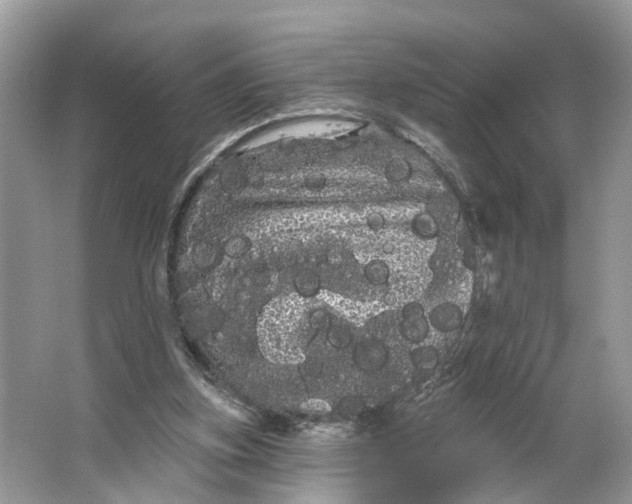 X0000066120155200603241619