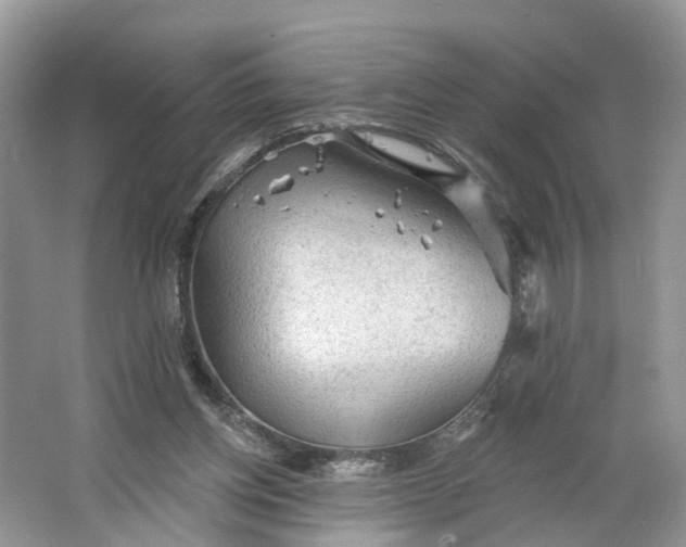 X0000066120158200603241619