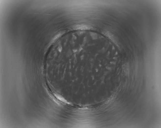 X0000066120159200603241619