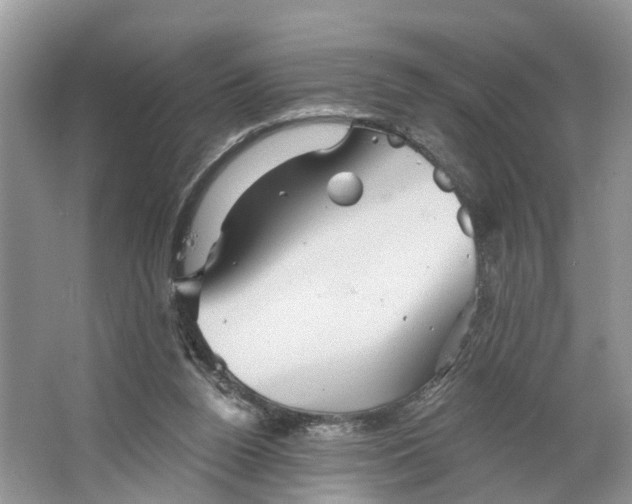 X0000066120160200603241619