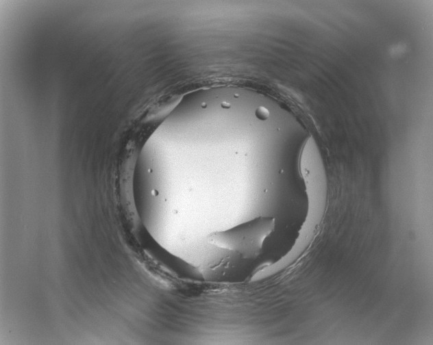 X0000066120162200603241619