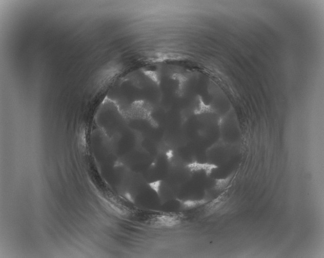 X0000066120166200603241619