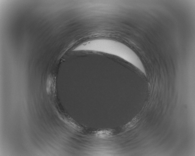 X0000066120168200603241619