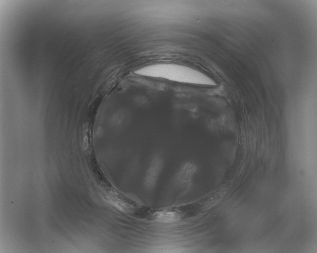 X0000066120169200603241619