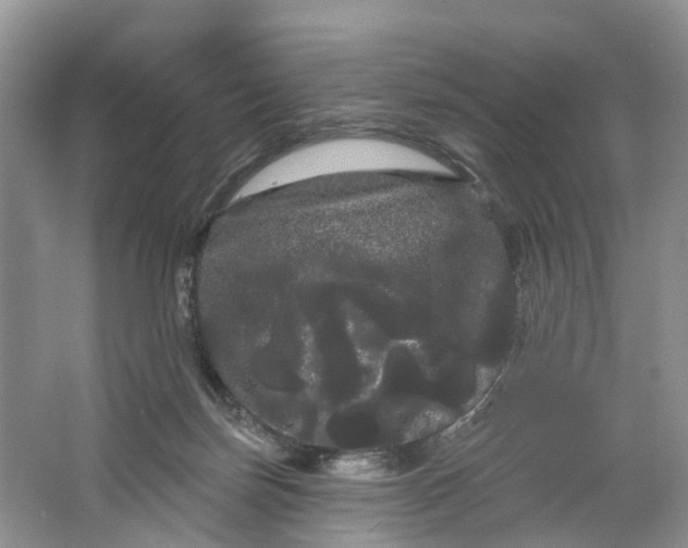 X0000066120171200603241619