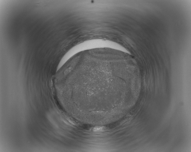 X0000066120173200603241619