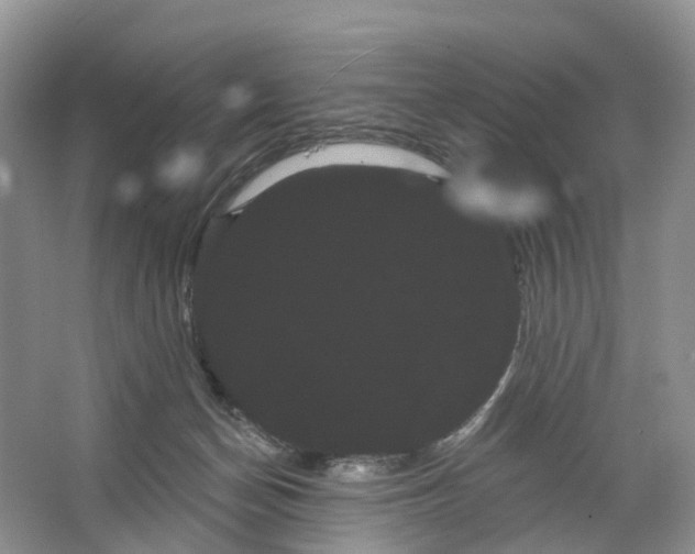 X0000066120174200603241619