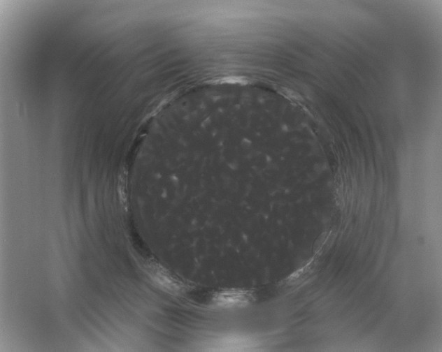 X0000066120175200603241619