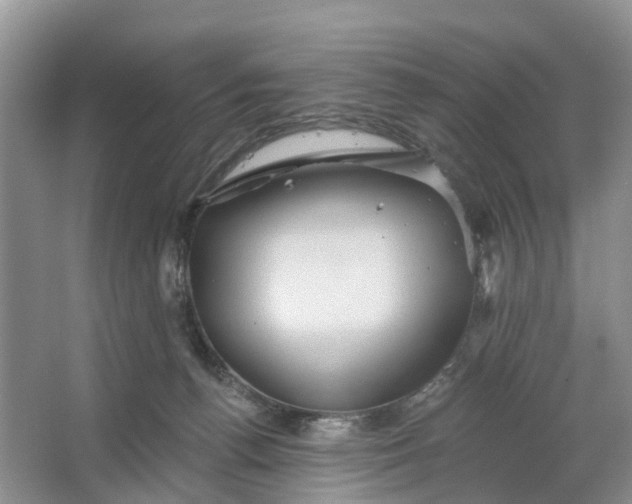 X0000066120176200603241619