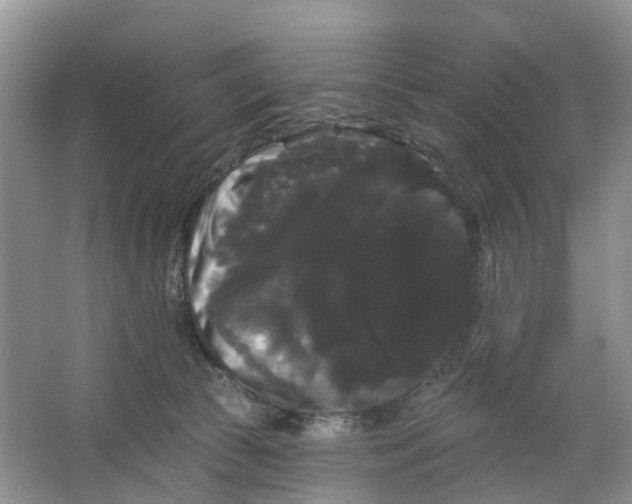 X0000066120177200603241619