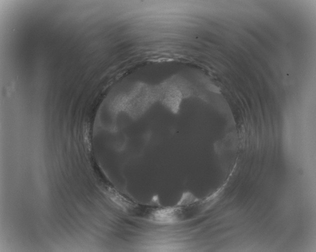 X0000066120178200603241619