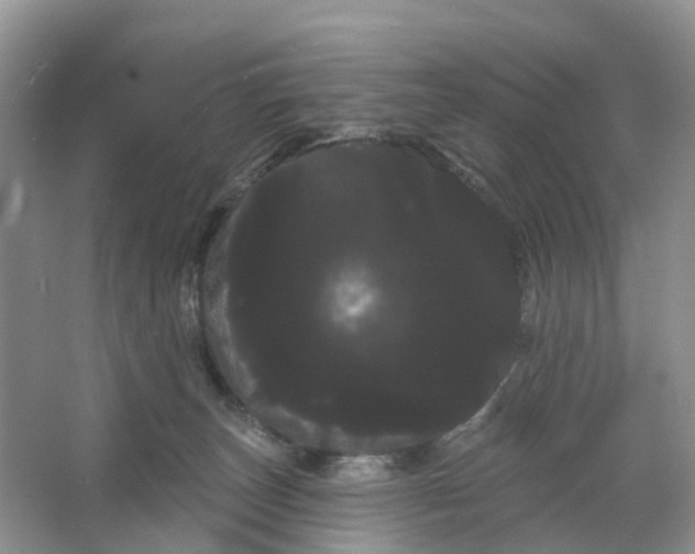 X0000066120179200603241619