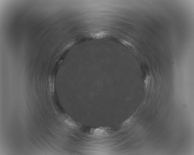 X0000066120180200603241619