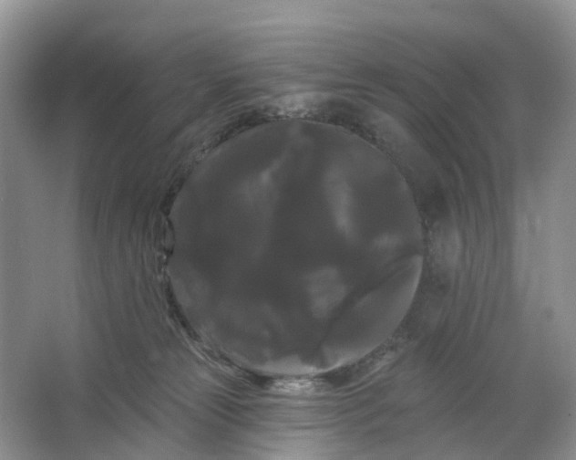 X0000066120181200603241620