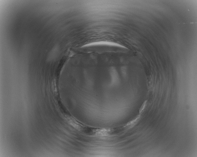 X0000066120182200603241620