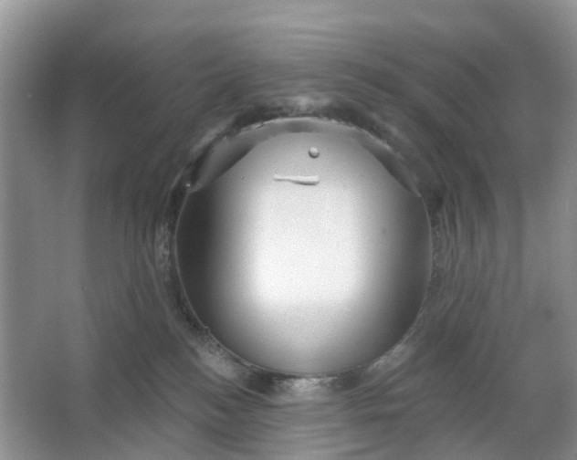 X0000066120184200603241620