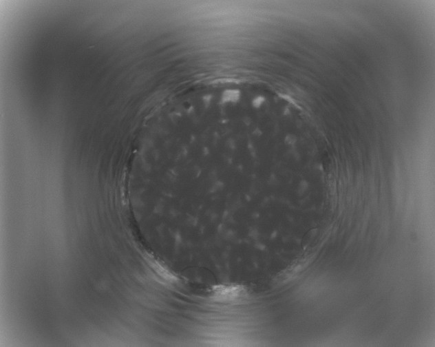 X0000066120185200603241620