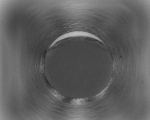 X0000066120186200603241620