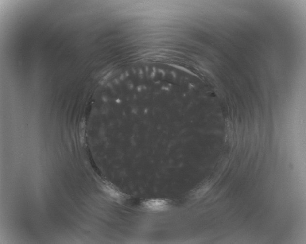 X0000066120189200603241620