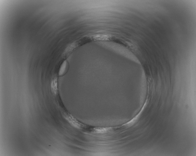 X0000066120190200603241620