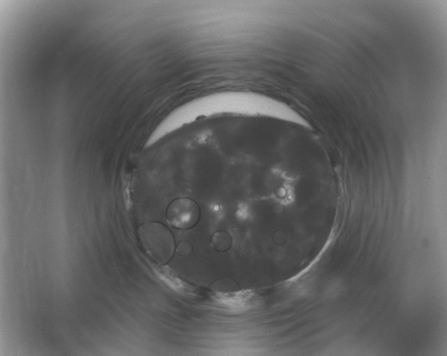 X0000066120191200603241620