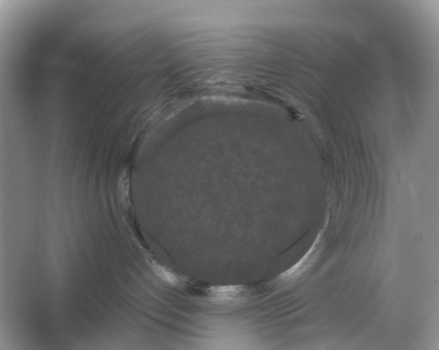 X0000066120192200603241620