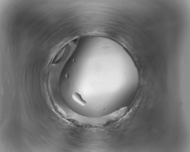 X0000066120193200603241619