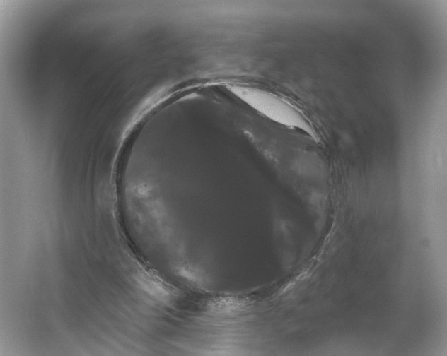 X0000066120198200603241619