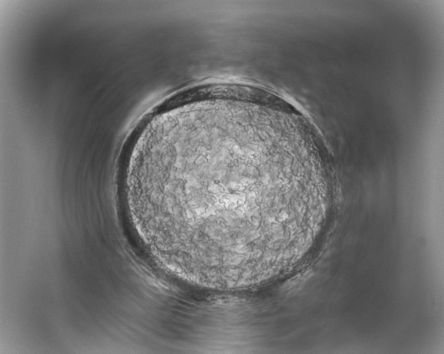 X0000066120199200603241619