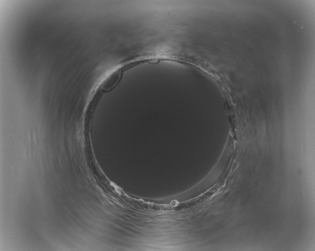 X0000066120200200603241619