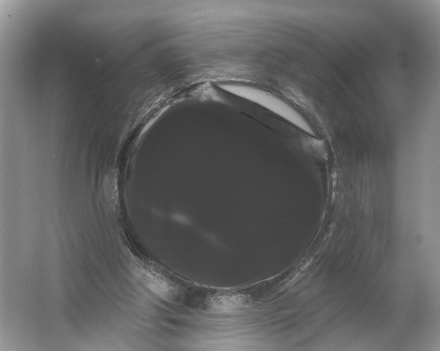 X0000066120202200603241619