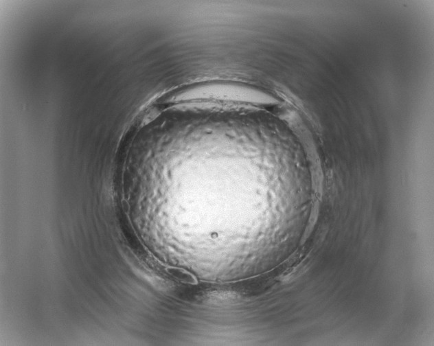 X0000066120203200603241619