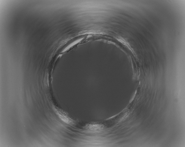 X0000066120205200603241619