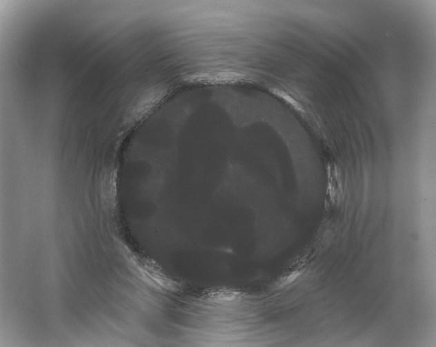 X0000066120206200603241619