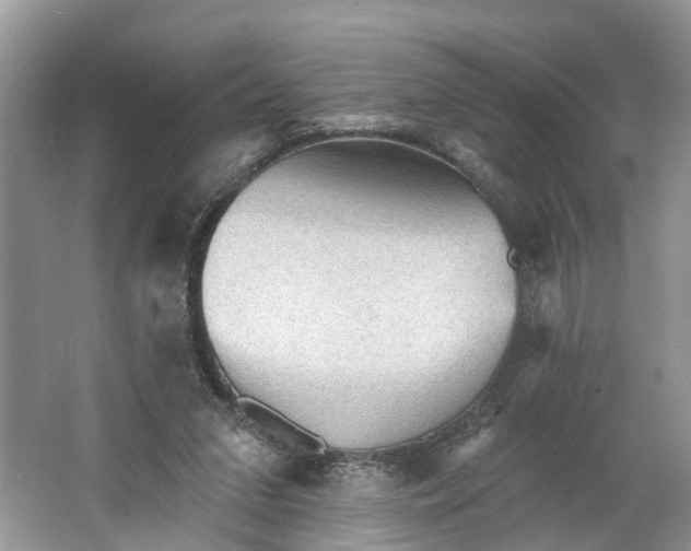 X0000066120207200603241619