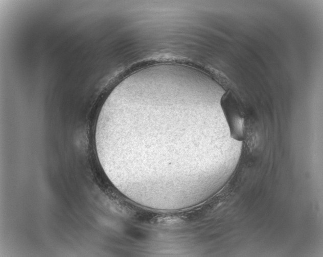 X0000066120208200603241619