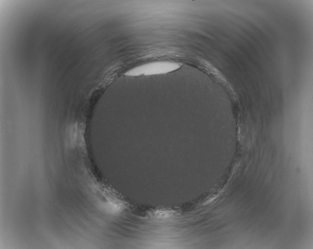 X0000066120209200603241619