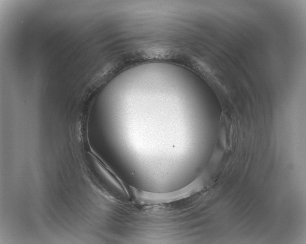 X0000066120211200603241619