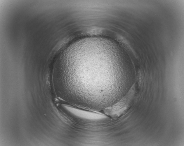 X0000066120212200603241619