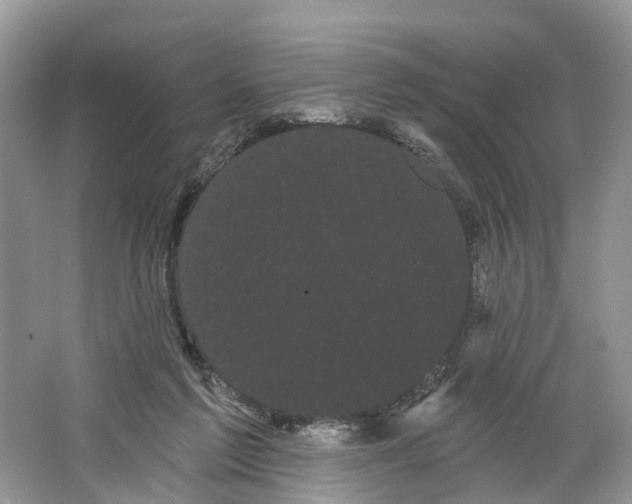 X0000066120213200603241619