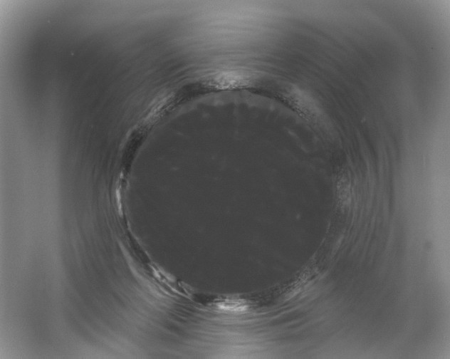 X0000066120214200603241619