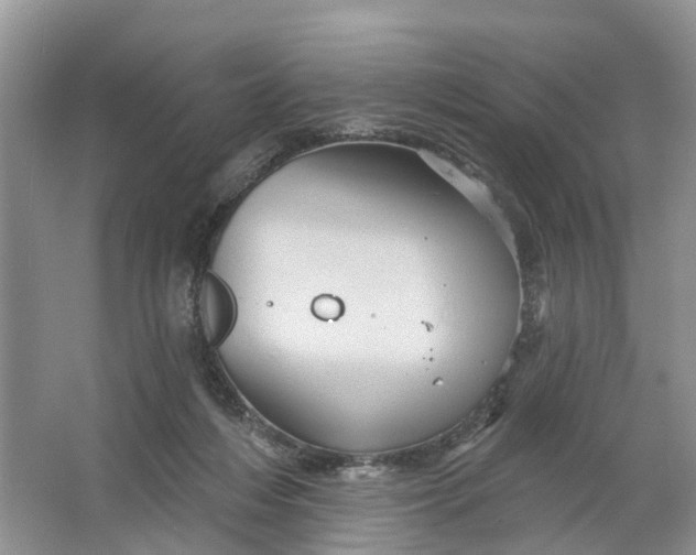 X0000066120216200603241618