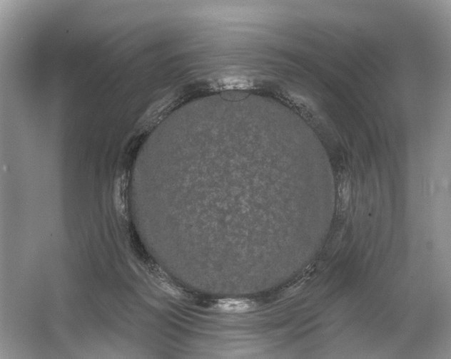 X0000066120218200603241618