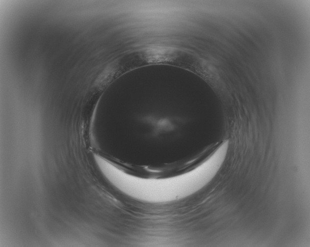 X0000066120219200603241618