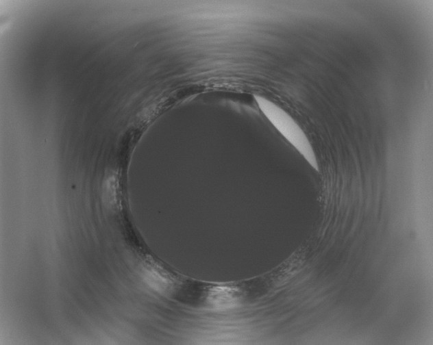 X0000066120222200603241618