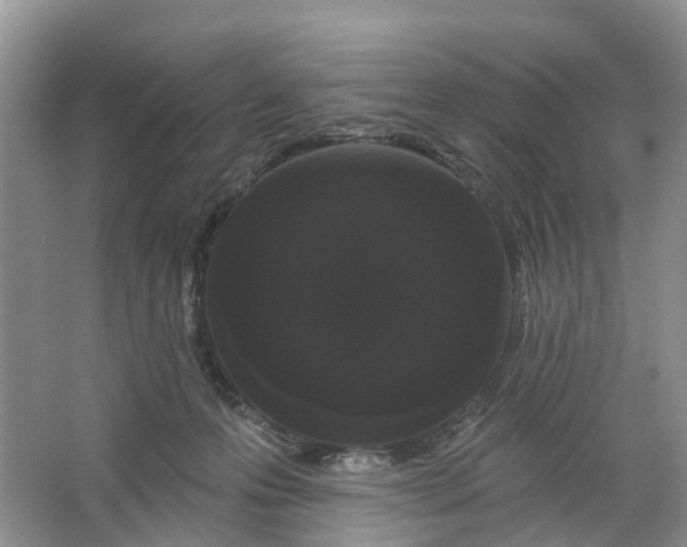 X0000066120223200603241618