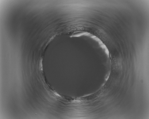 X0000066120224200603241618