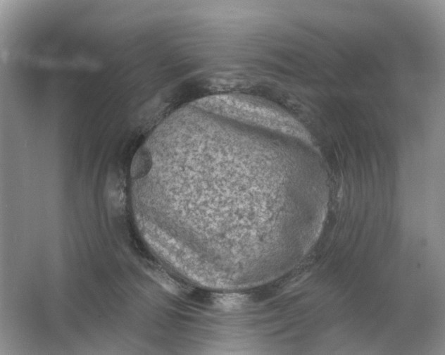 X0000066120226200603241618