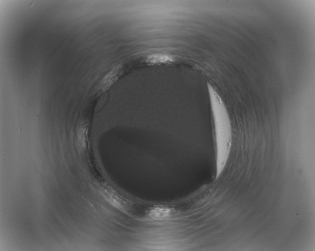 X0000066120227200603241618