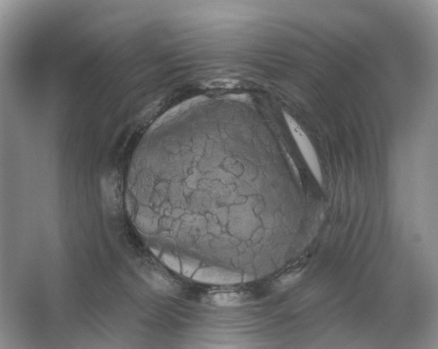 X0000066120228200603241618